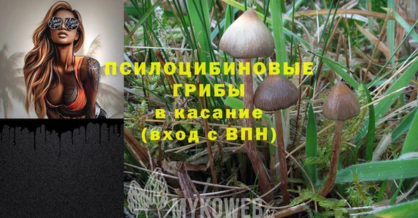 молекула духа Армянск