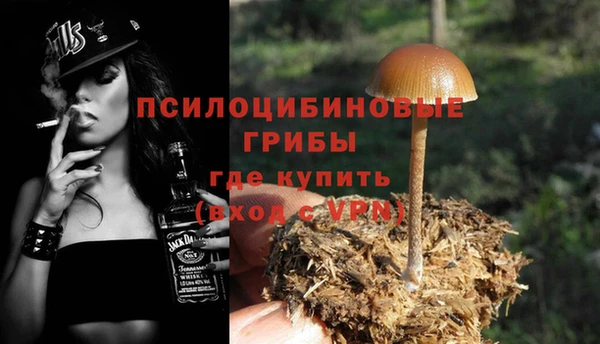 2c-b Аркадак