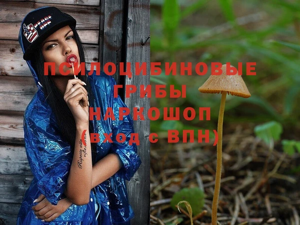 молекула духа Армянск