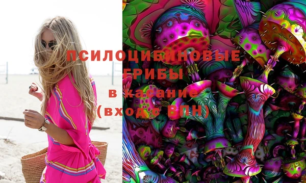молекула духа Армянск