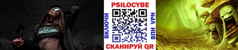 где купить наркоту  Дмитров  Галлюциногенные грибы Cubensis 